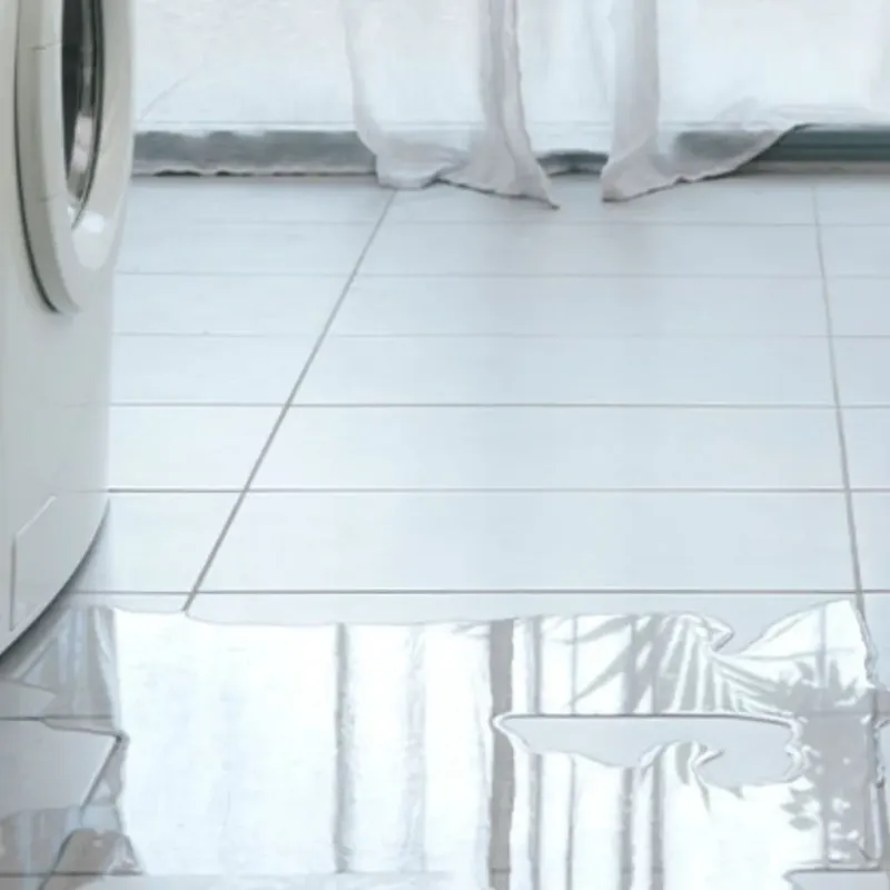 Appliance Leak Cleanup in Oneida, WI