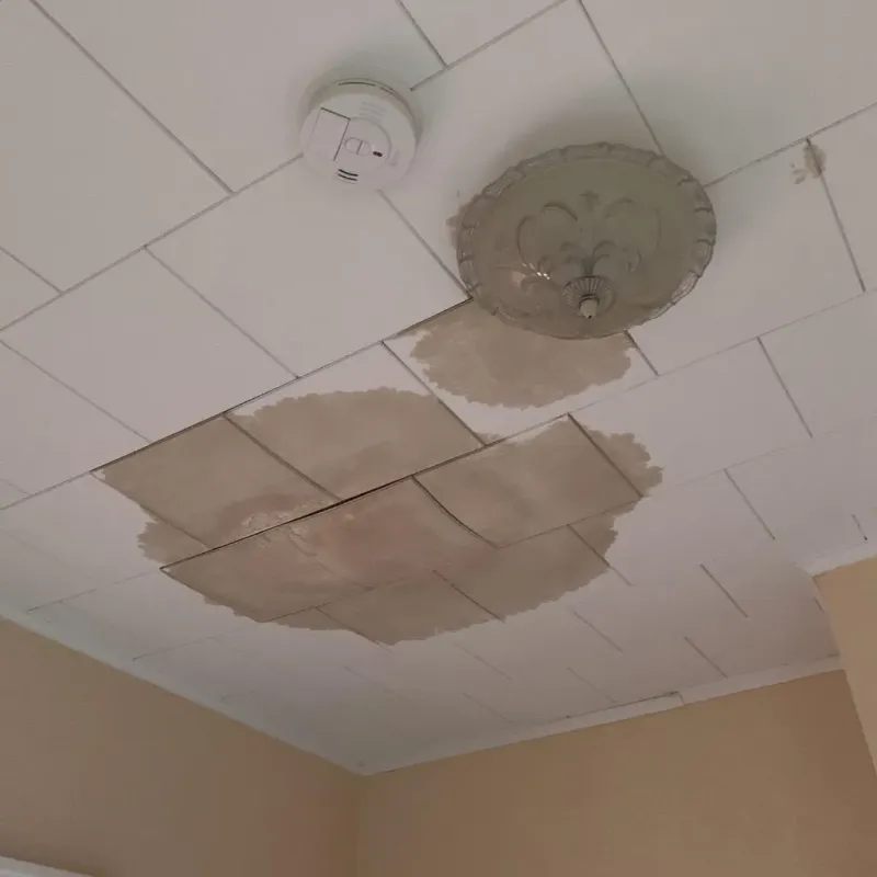 Ceiling Water Damage Repair in Oneida, WI
