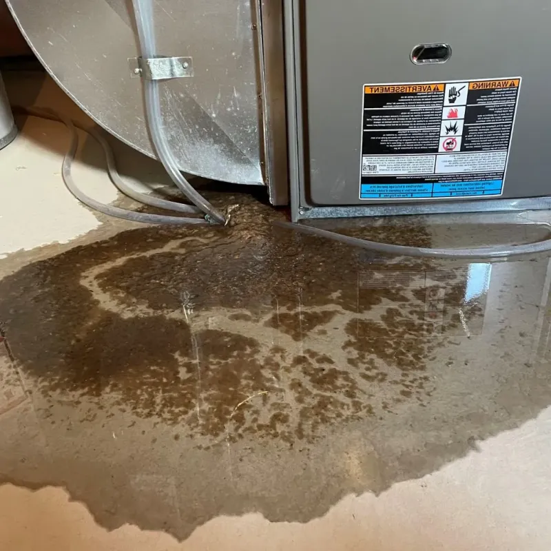 Pipe Burst and Leak Restoration in Oneida, WI