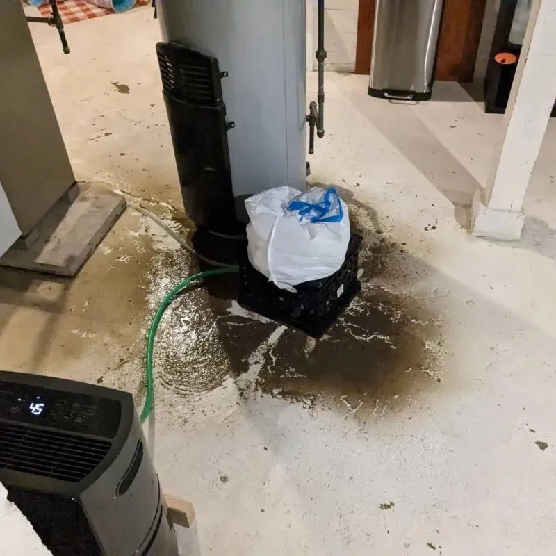 Sewage Backup Cleanup Service in Oneida, WI